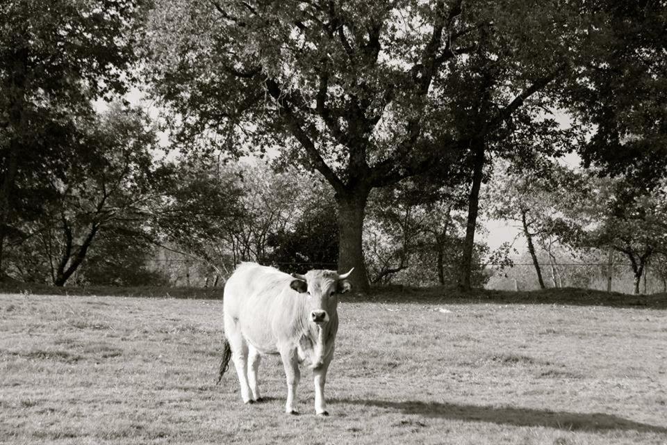 Petit Gite A La Ferme Villa Rosnay  Buitenkant foto